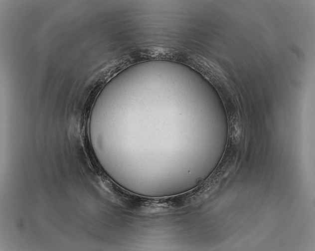 X0000112960607200909101634