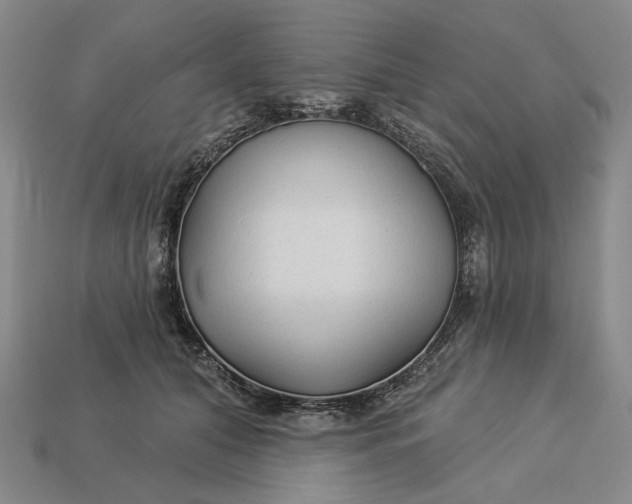 X0000112960608200909101634