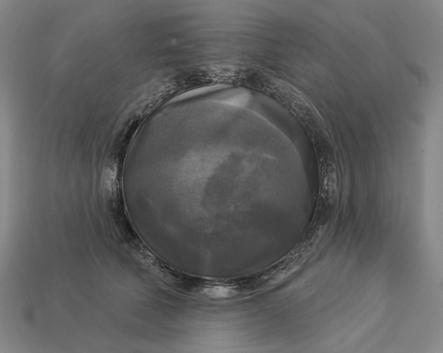 X0000112960610200909101634