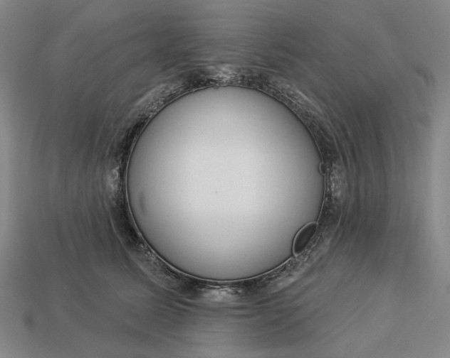 X0000112960611200909101634