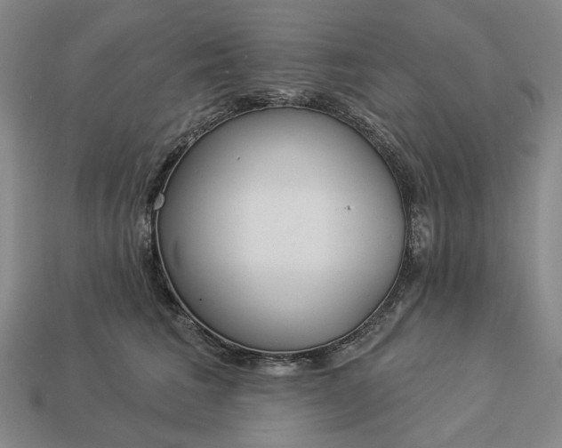 X0000112960613200909101634