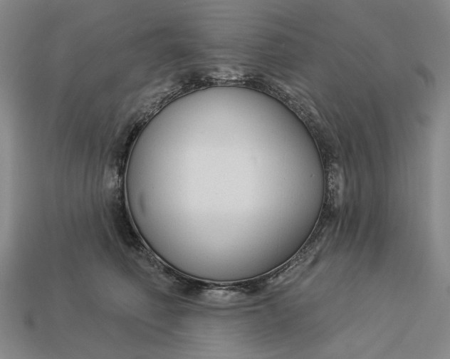 X0000112960614200909101634