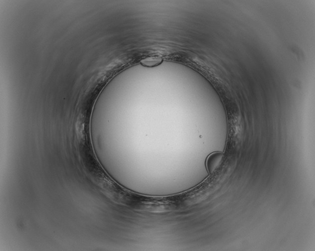 X0000112960615200909101634