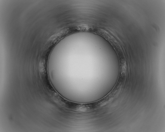 X0000112960616200909101634