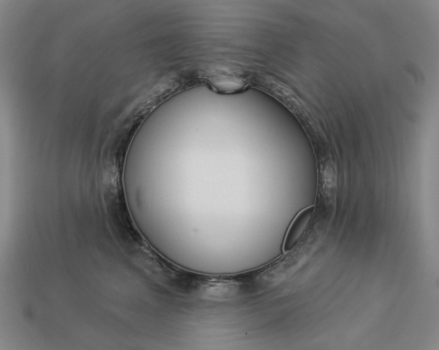 X0000112960617200909101634