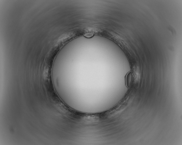 X0000112960619200909101634