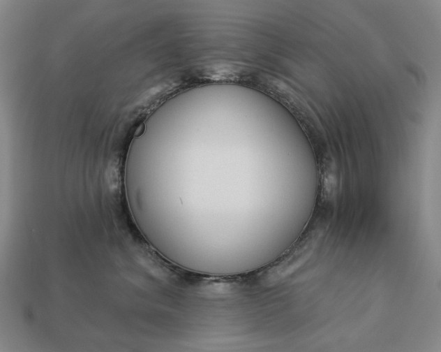 X0000112960620200909101634