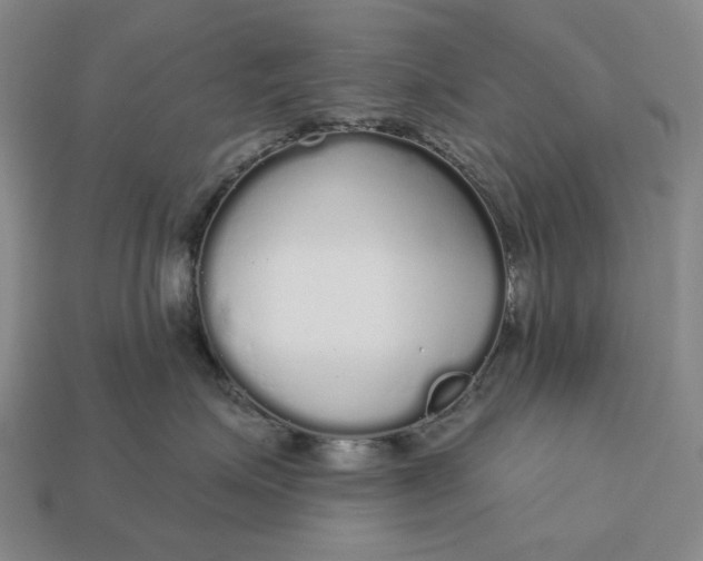 X0000112960623200909101634