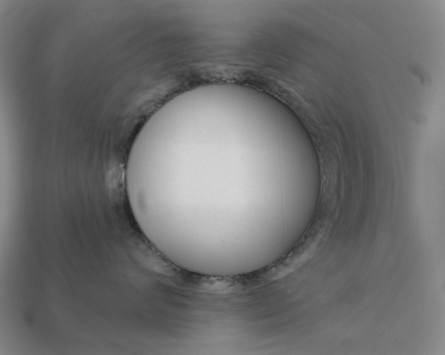 X0000112960624200909101634