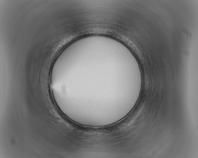 X0000112960625200909101633