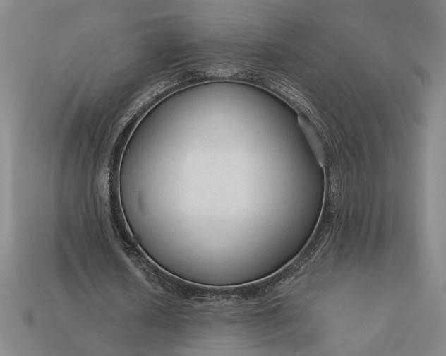 X0000112960626200909101633