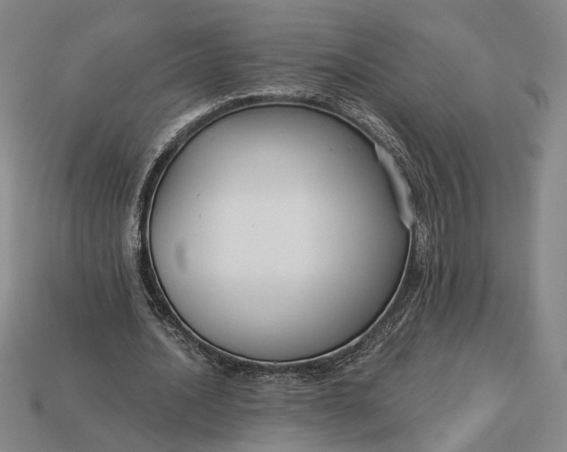 X0000112960628200909101633