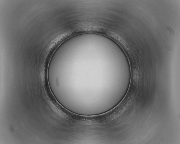 X0000112960629200909101633