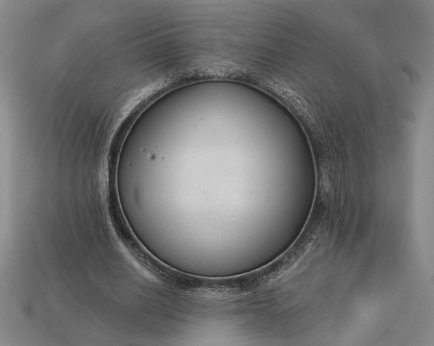 X0000112960630200909101633