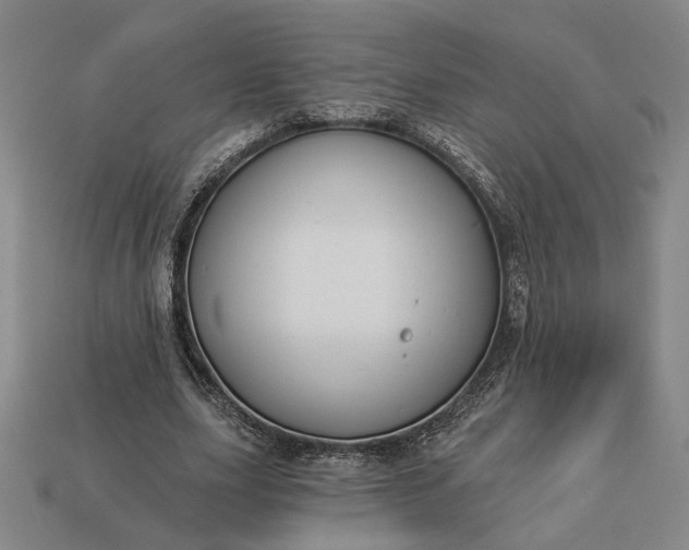 X0000112960631200909101633