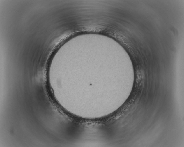 X0000112960632200909101633