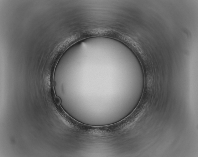 X0000112960633200909101633