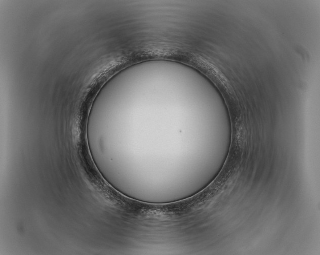 X0000112960635200909101633