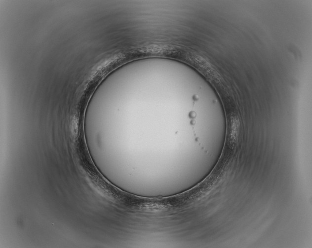 X0000112960636200909101633