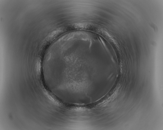 X0000112960637200909101633