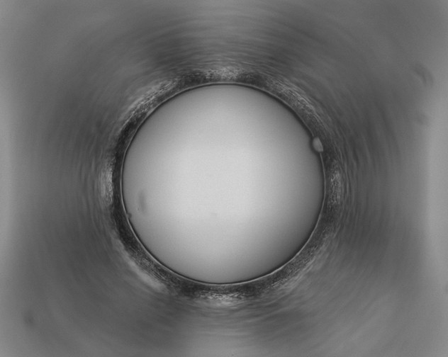 X0000112960638200909101633