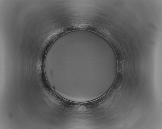 X0000112960640200909101633