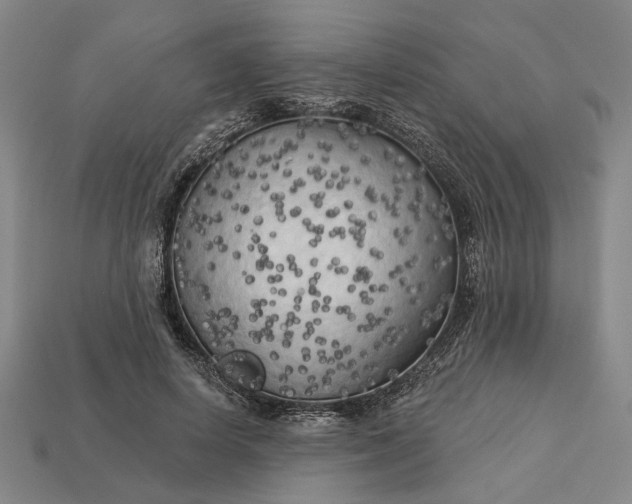 X0000112960642200909101633