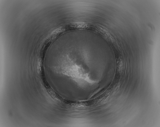 X0000112960643200909101633