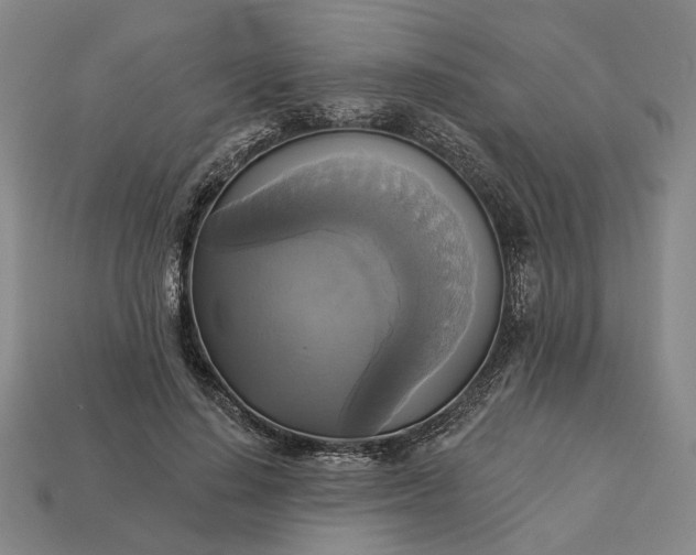 X0000112960644200909101633