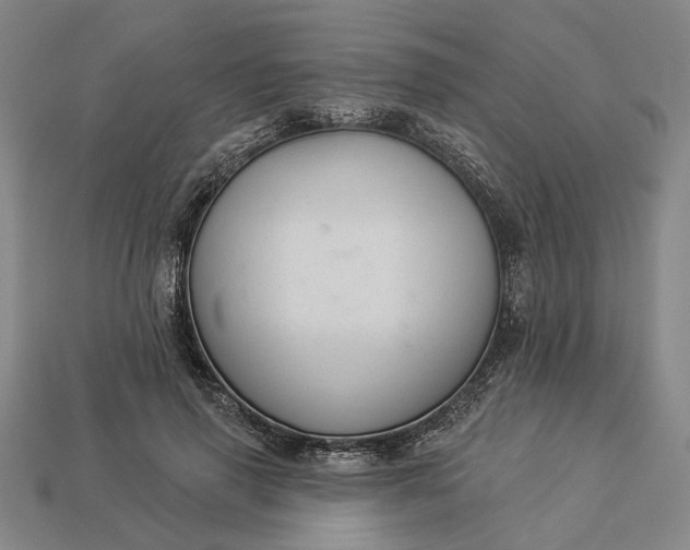 X0000112960645200909101633