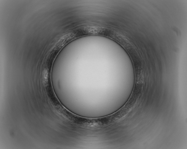 X0000112960646200909101633