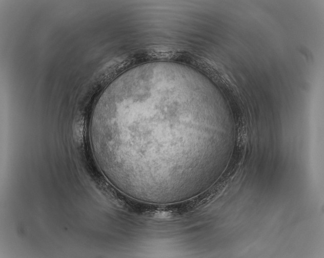 X0000112960647200909101633