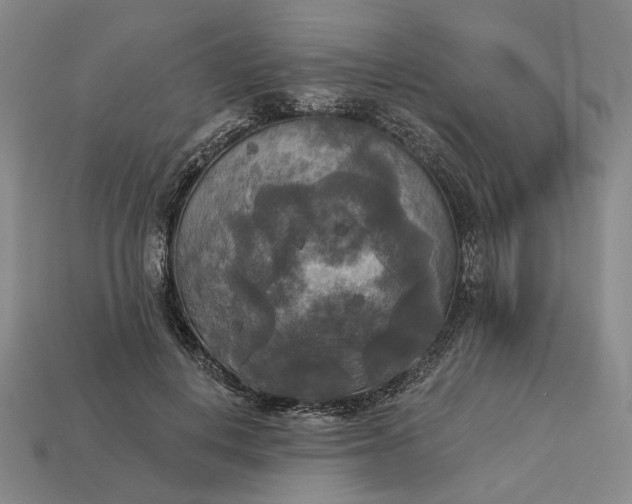 X0000112960648200909101633