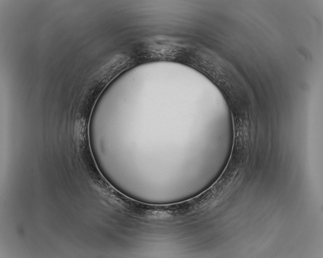 X0000112960649200909101633