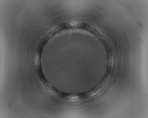 X0000112960651200909101633