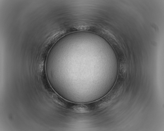 X0000112960652200909101633