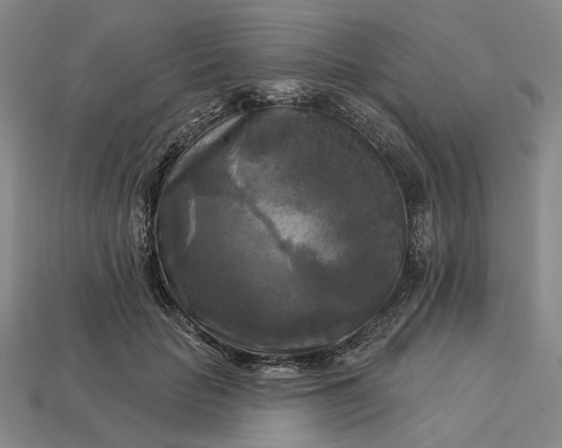 X0000112960653200909101633