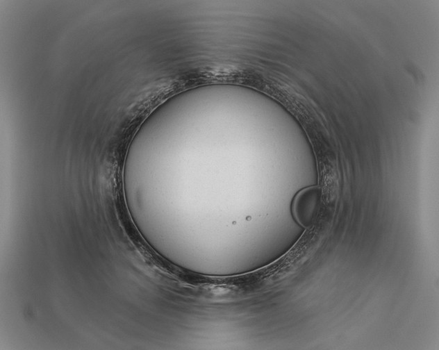 X0000112960654200909101633