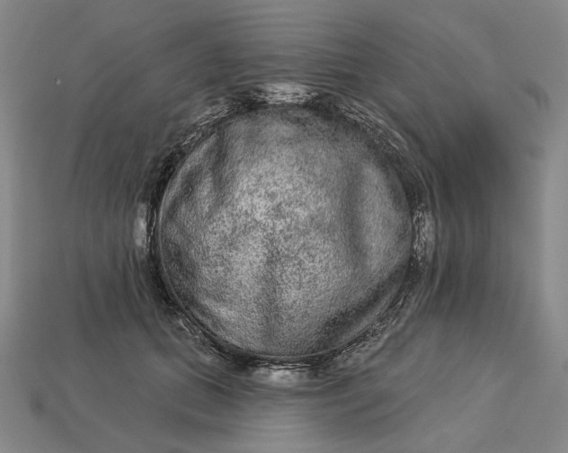 X0000112960655200909101633