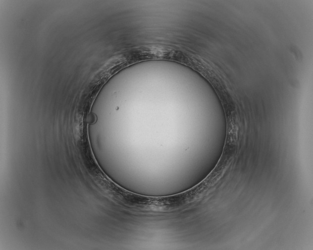 X0000112960656200909101633