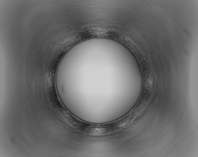 X0000112960658200909101633