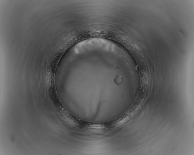 X0000112960659200909101633