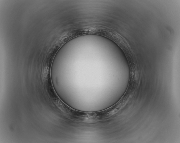 X0000112960660200909101633