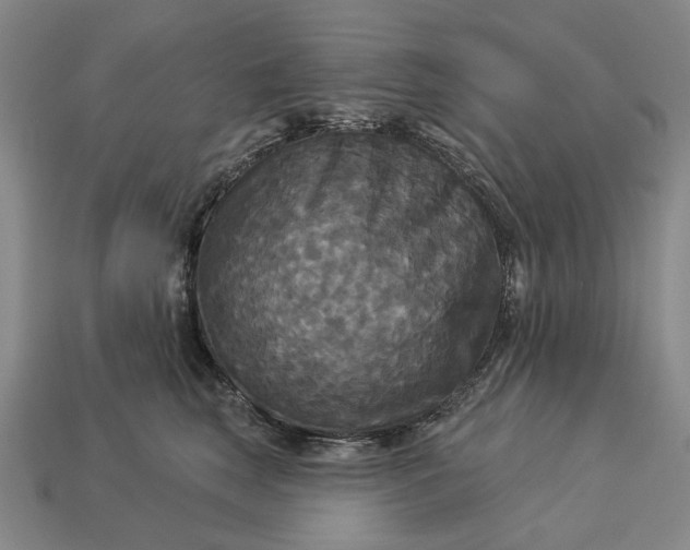 X0000112960663200909101633