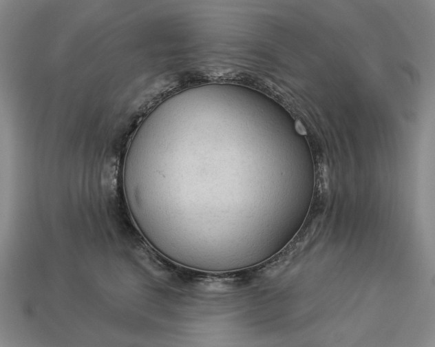 X0000112960664200909101633