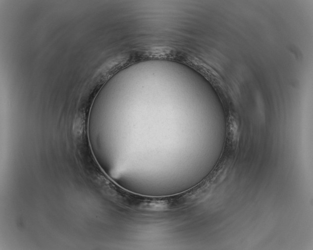 X0000112960665200909101633