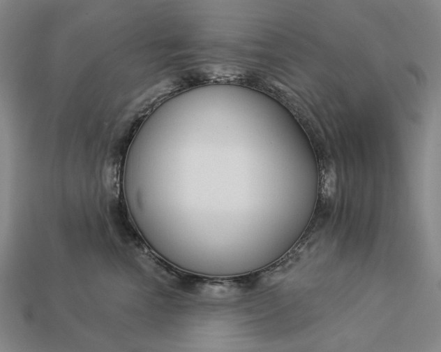 X0000112960666200909101633