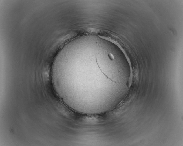 X0000112960668200909101634