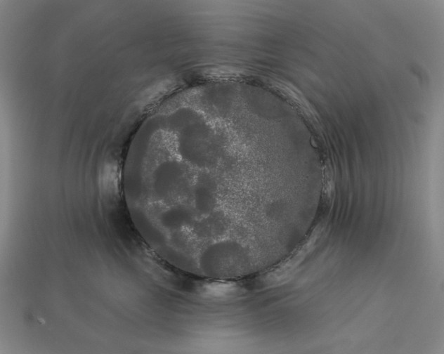 X0000112960669200909101634