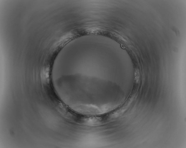 X0000112960670200909101634